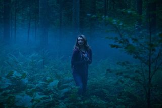 The Forest still 1