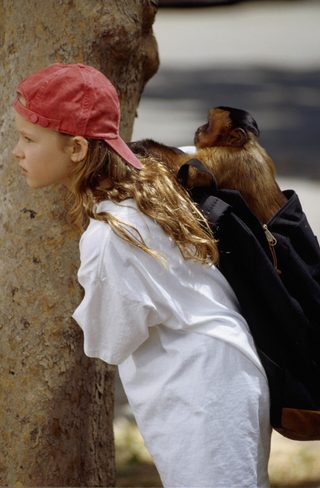 Monkey Trouble still 3