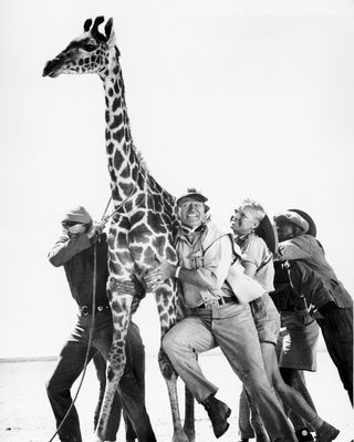 Hatari! still 4
