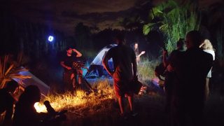 Crocodylus still 4