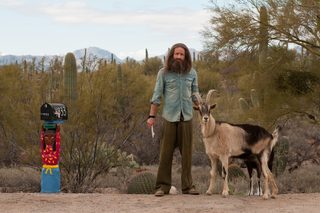Goats still 8