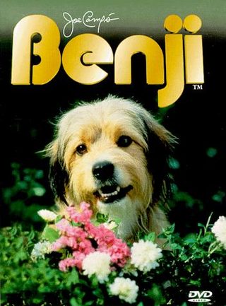 Benji still 5