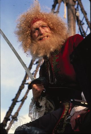 Yellowbeard still 2