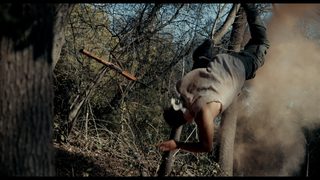Easy Targets still 8