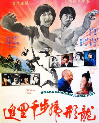 Snake Shadow, Lama Fist still 5