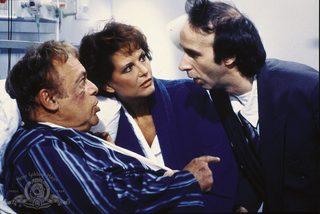 Son of the Pink Panther still 3