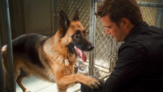 Cats & Dogs: The Revenge of Kitty Galore still 4