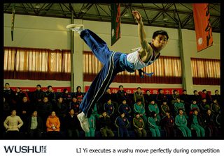 Jackie Chan Presents: Wushu still 5