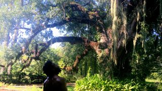 Bayou Ghost Story still 7