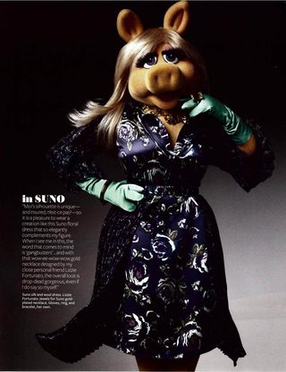 The Muppets still 6