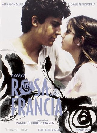 Virgin Rose still 5