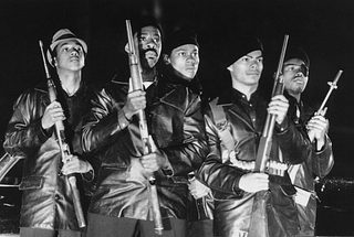 Panther still 3