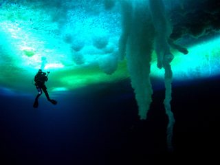 Encounters at the End of the World still 4