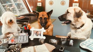 Cats & Dogs: The Revenge of Kitty Galore still 6