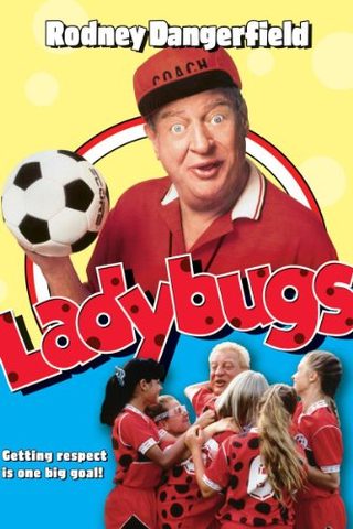 Ladybugs still 1