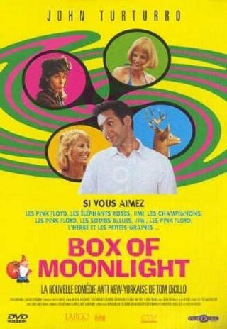 Box of Moonlight still 8