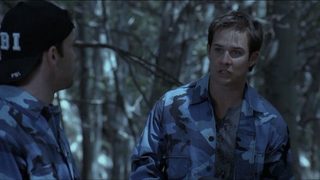 Backwoods still 8