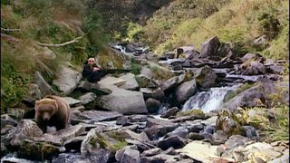 Grizzly Man still 5