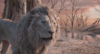 Mufasa: The Lion King still 2