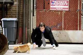 The Shaggy Dog still 5