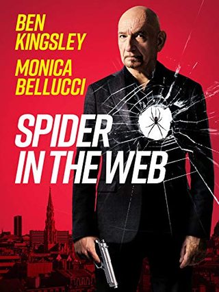 Spider in the Web still 2