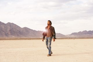 Kites still 3