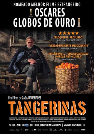 Tangerines still 5