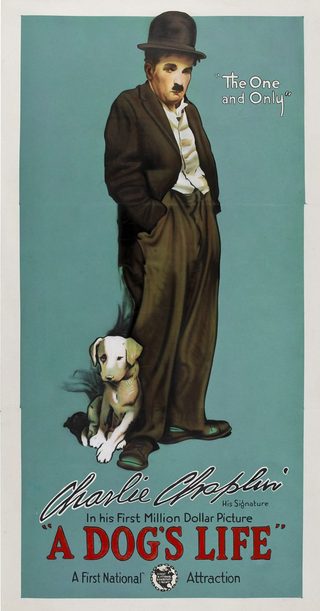 A Dog's Life still 3