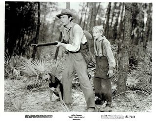 The Yearling still 6