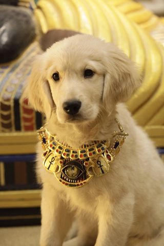 Treasure Buddies still 3
