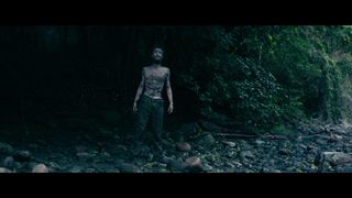 Jungle still 6