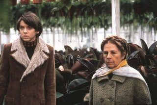 Harold and Maude still 5