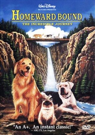 Homeward Bound: The Incredible Journey still 7