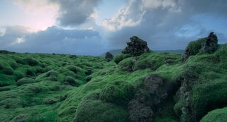 Voyage of Time: The IMAX Experience still 4