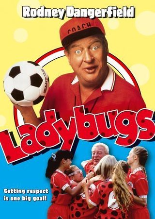 Ladybugs still 5