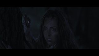 Fractured still 3