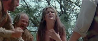The Animals still 4