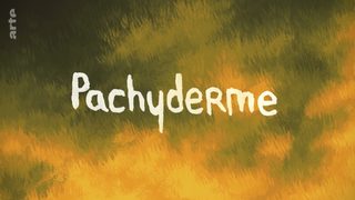 Pachyderm still 3