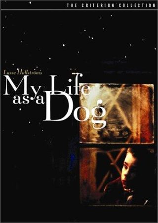 My Life as a Dog still 6