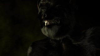 Wolves of Wuhan still 2