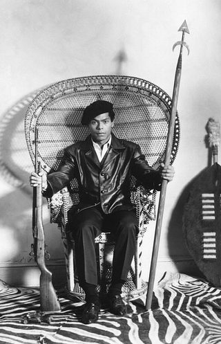 Panther still 8