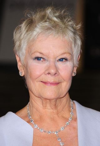 Judi Dench, photo 1 of 3