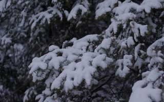 Edge of Winter still 5