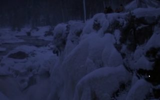 The Call of the Wild: Dog of the Yukon still 5