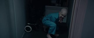 Stray still 4