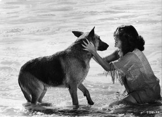 Won Ton Ton: The Dog Who Saved Hollywood still 1