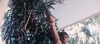 D still 2