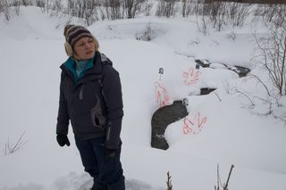 The Dyatlov Pass Incident still 8