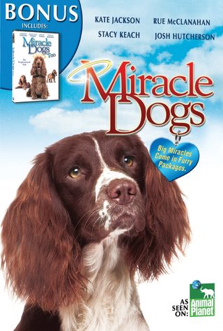 Miracle Dogs Too still 5