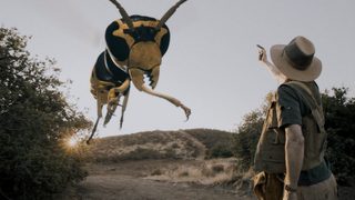Big Bad Bugs still 10